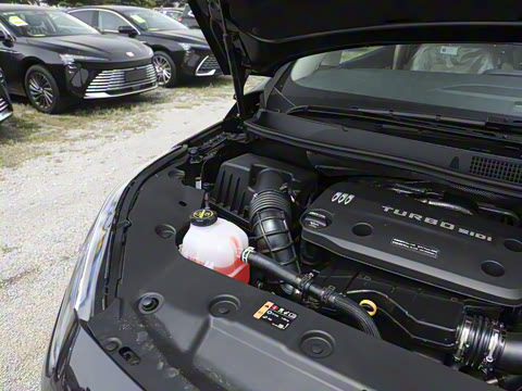 2025�� ½�� ������ 7��