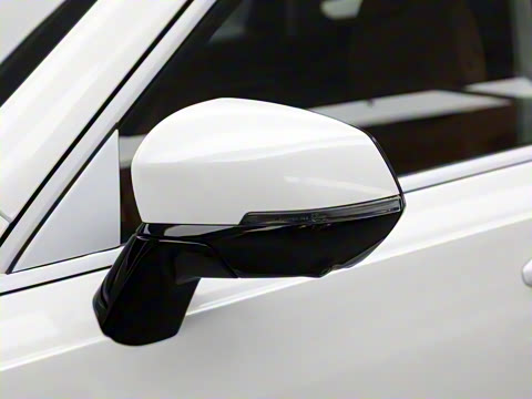 2024�� 2.0T ����Max