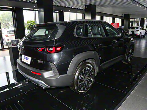 2023�� 2.5L ���а�