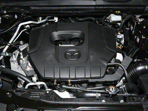 2023�� 2.5L ���а�