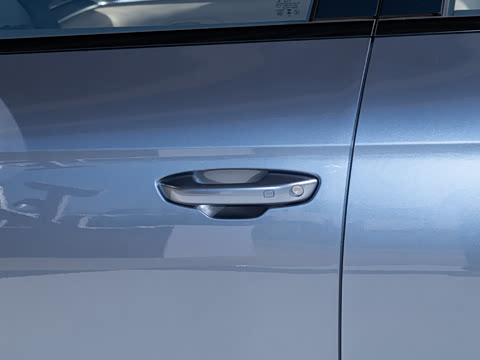 2025�� �ڶ��� DM-i 115KM׿Խ��