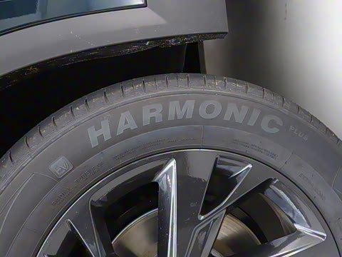 2025�� 518������