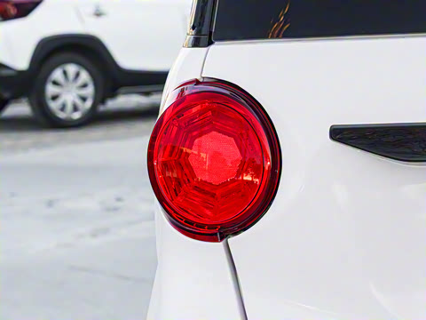 2025�� 205km ��Ȱ�