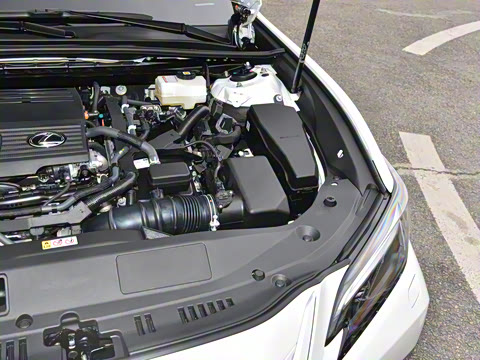 2025�� 300h ������