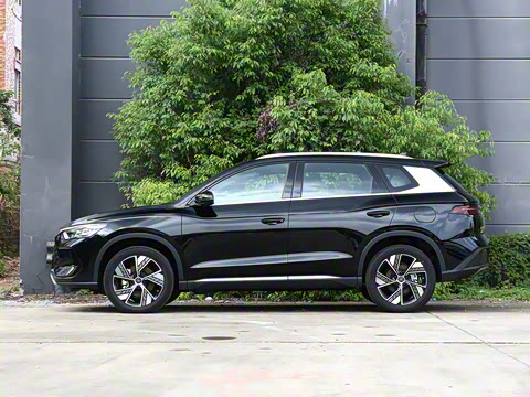 2024�� ��ҫ�� DM-i 110KM׿Խ��