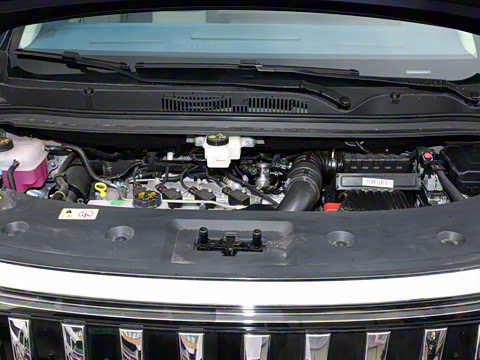 2024�� ������ 2.0T �콢��