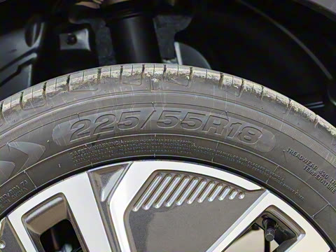 2025�� 55km ̽����