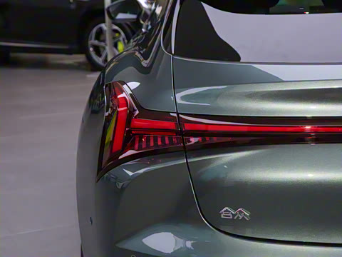 2024�� ����300 Pro��