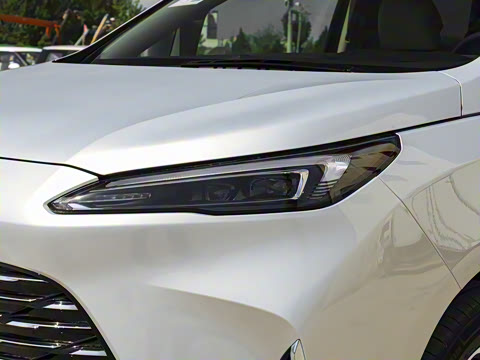 2025�� ½�� ������ 7��