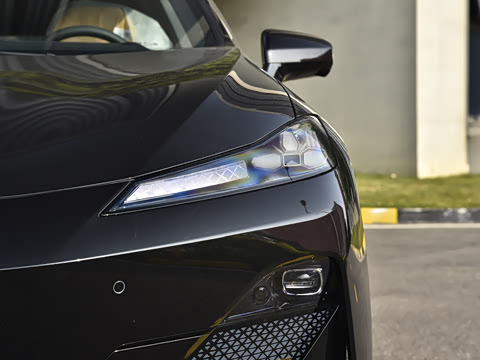 2025�� �����˶���