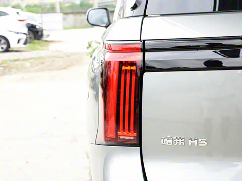 2024�� 2.0T�Զ������촴 ����