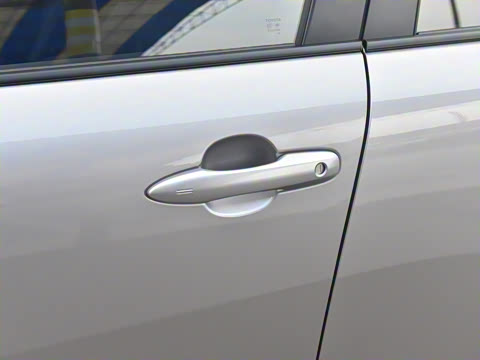 2024�� 2.0L ���ܵ��˫�� ��Ӣ��