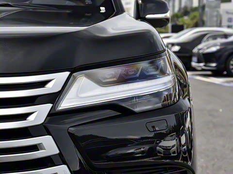 2025�� 700h VIP������