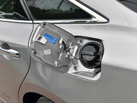 2024�� ˫�� 2.5L XLE����