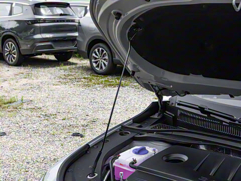 2025�� 2.0T �Զ���+