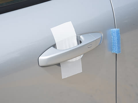 2025�� 55km ������