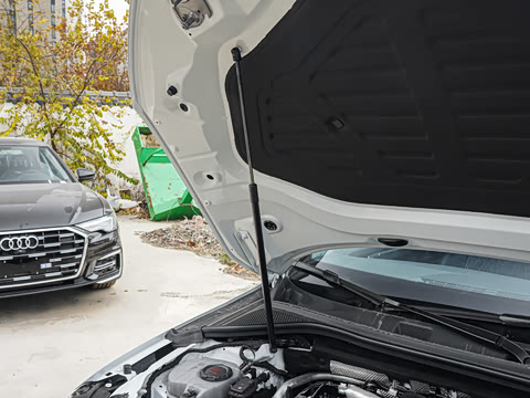 2025�� A3L Limousine 35TFSI �ɳ������� +������ѡ��