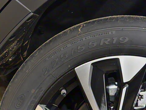 2023�� 2.5L ���а�