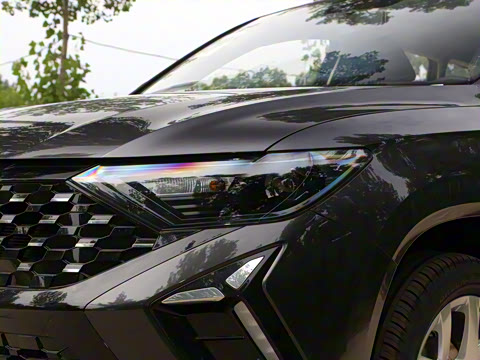 2024�� 280TSI �Զ��ȷ��