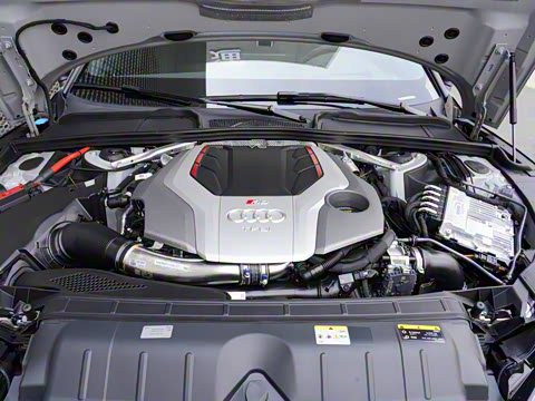 2024�� RS 5 2.9T Sportback ȼ���