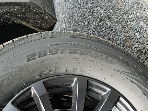 2025�� �����Ǽ�Max��