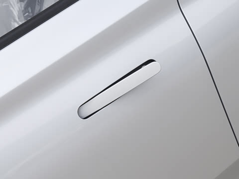 2025�� 305km ������