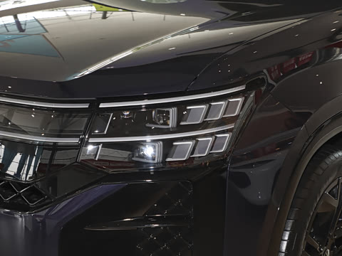 2025�� ;�� Pro 450TSI �����Ƿ��