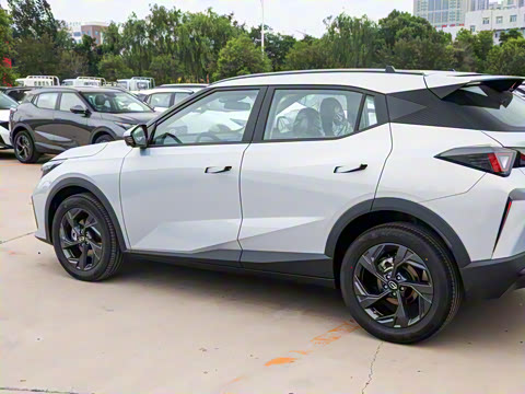 2025�� Ӱ�� 270T ������ ƽ������