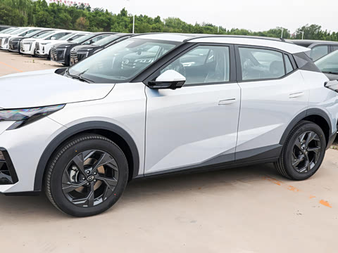 2025�� Ӱ�� 270T ������ ƽ������