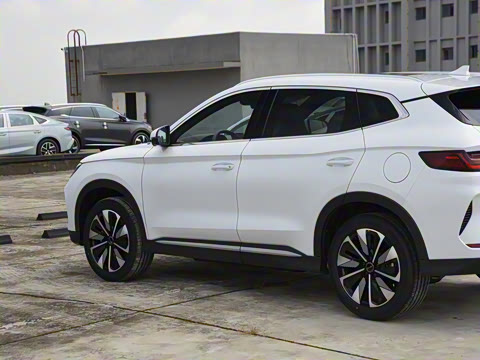 2025�� DM-i 160KM �콢��