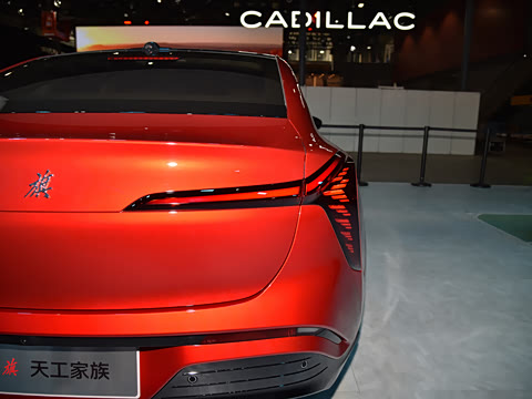 2025�� 550��ѡ��