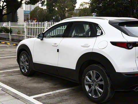 2024�� 2.0L �Զ�������