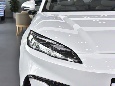 2025�� DM-i 80KM�����