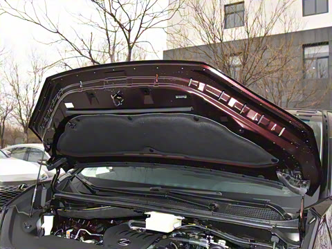 2023�� 500h ��������