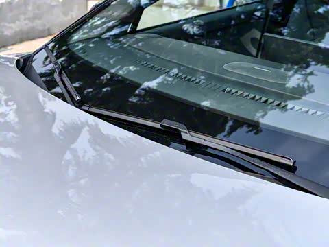 2025�� �������� Max �콢��