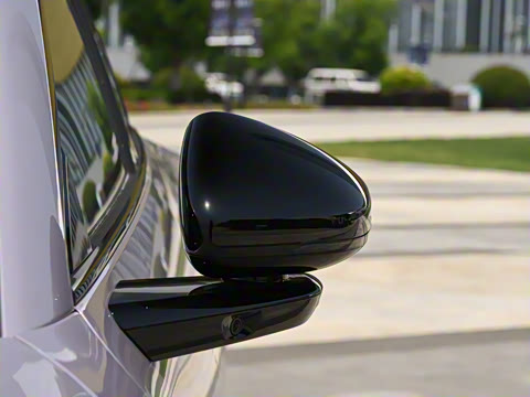 2025�� 502 ������ Max