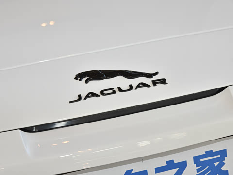 2024�� P300 75�����س����