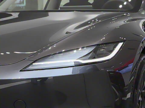 2025�� ����������