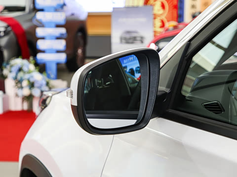 2024�� 230TCI �Զ��³��� 5��