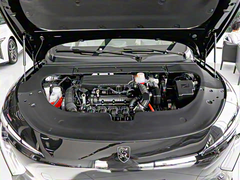 2025�� 235���� ������