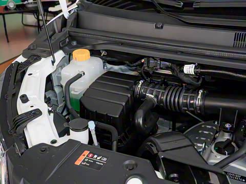 2025�� 2.0L CNG������ 7��