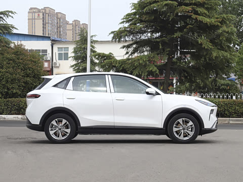 2025�� 565km ������