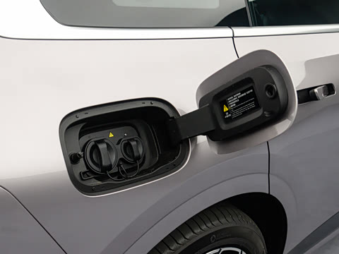 2025�� ���� ����� 230 �콢��