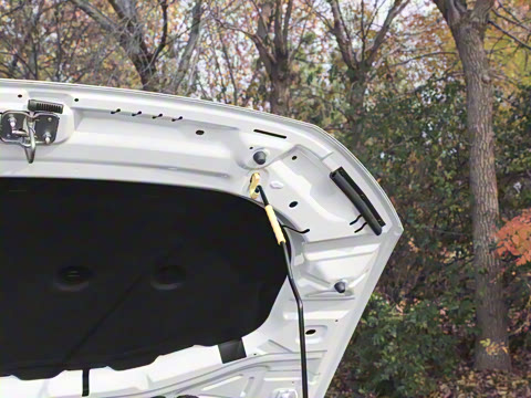 2025�� 200TSI DSG��Խ��