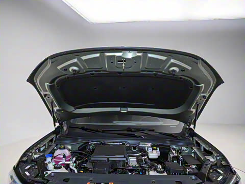 2025�� ������PLUS