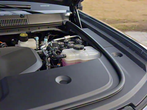 2025�� ��������Ǭ���Ǽݰ�