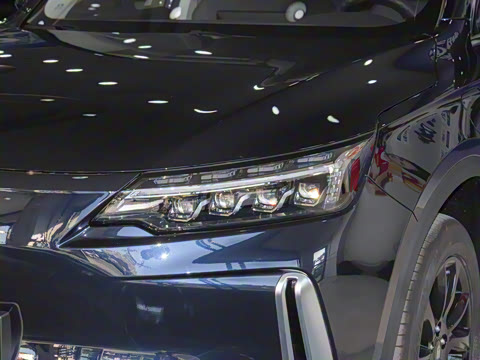 2024�� 520 ������