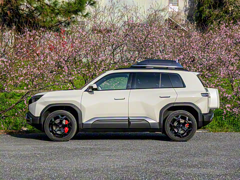 2025�� 501KM �������˻���