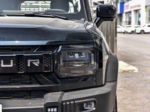 2025�� 2.0TD DCT XWD��Խ