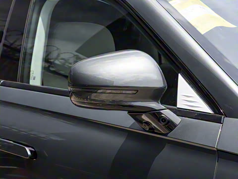 2025�� ���� 265 Max��������������ʻ